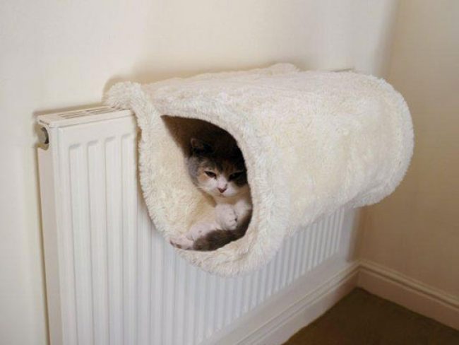 Как сделать лежанку для кошки своими руками: любимую кровать — пушистым королям