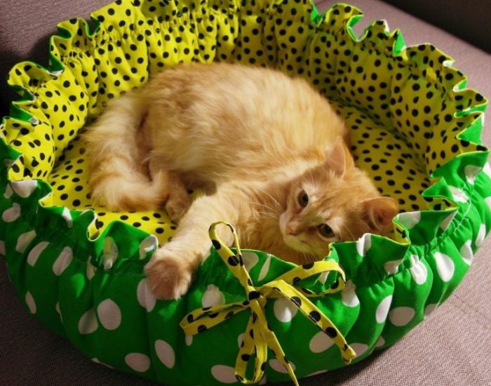 Как сделать лежанку для кошки своими руками: любимую кровать — пушистым королям