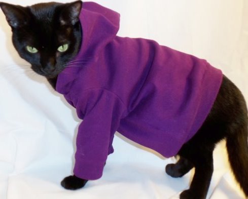 Выкройки одежды для кошек: универсал и его успешные коллеги