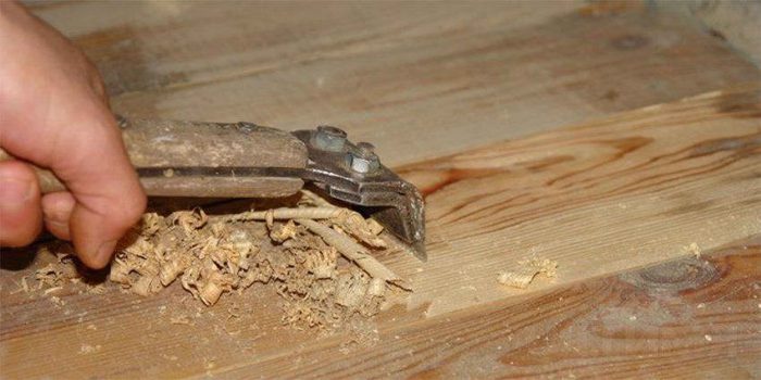 Циклевка деревянного пола: как можно реставрировать поверхность