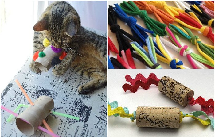 Самодельные игрушки для котят: бюджетные варианты для счастья малышей