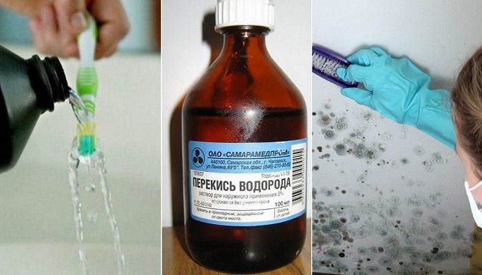 Как убрать грибок в ванной: обзор средств профессионалов и любителей