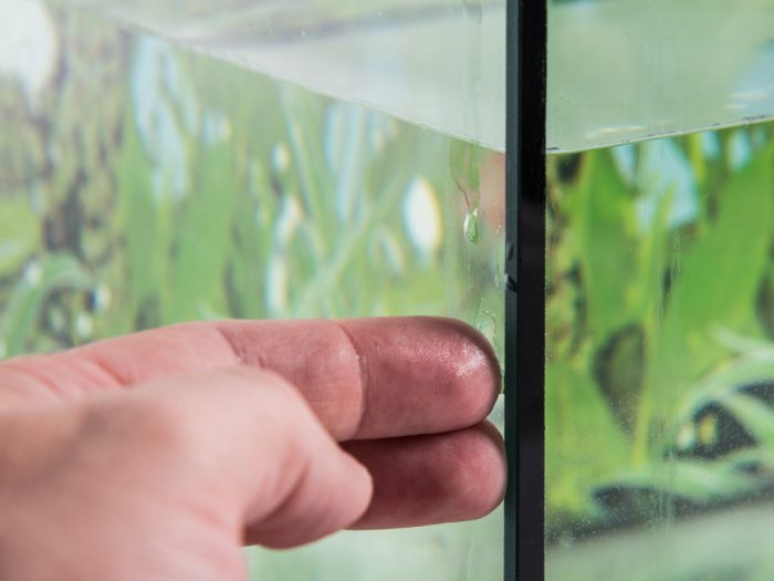 Как сделать аквариум в домашних условиях: материалы и инструкция