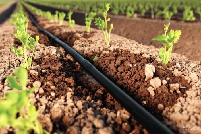 Как сделать полив огорода своими руками: разные виды систем и их создание
