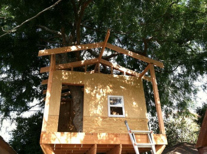 Как сделать дом на дереве: виды «зданий», рекомендации, этапы строительства
