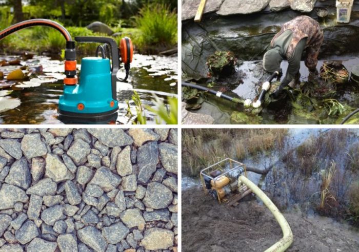 Как очистить пруд: способы избавления от ила и нежелательной растительности