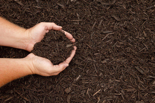 Как повысить плодородие почвы: наиболее эффективные способы «возрождения»