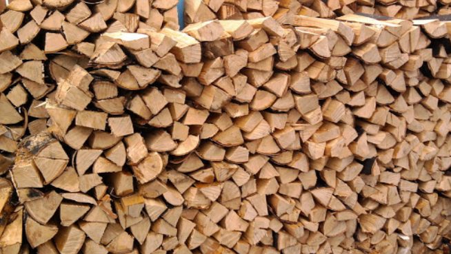 Какие дрова лучше: породы деревьев и важные характеристики простого горючего