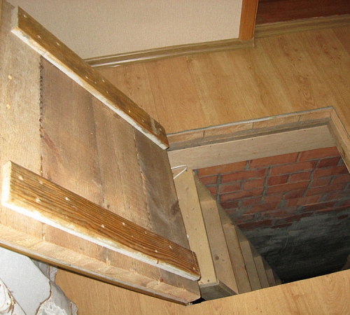 Грибок в подполье частного дома: как избавиться от опасных «агрессоров»