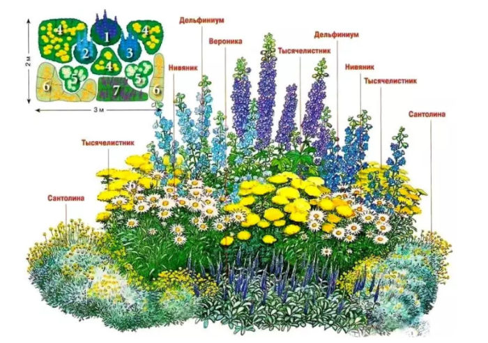 Клумба: ее разновидности и обзор вариантов оформления красивых цветников