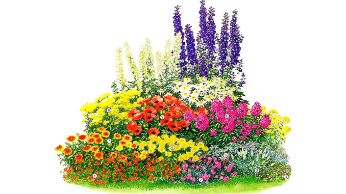 Клумба: ее разновидности и обзор вариантов оформления красивых цветников