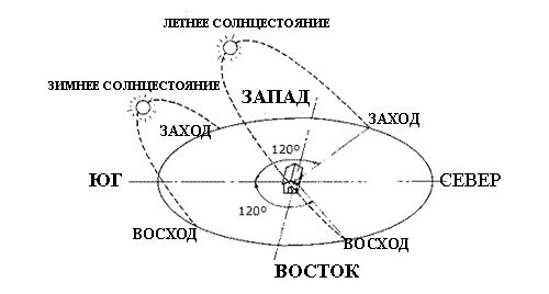 Огурцы в теплице: особенности выращивания теплолюбивых культур