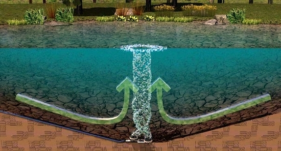 Декоративный пруд на даче: выбор, обустройство, оформление водоема